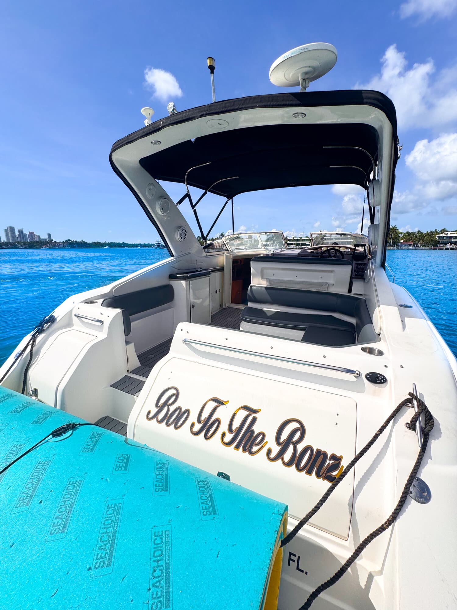 36FT REGAL - View 31