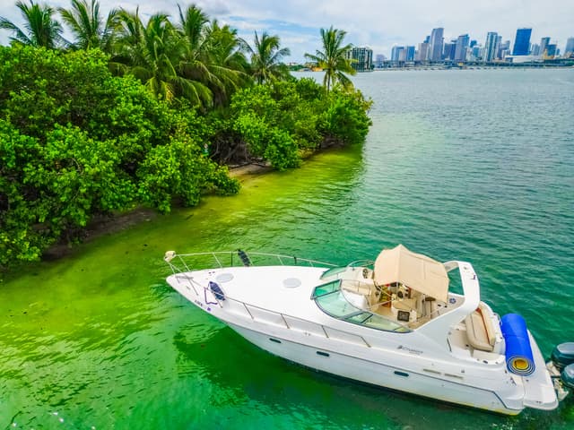 Cruiser 37FT Singapur rental in Miami