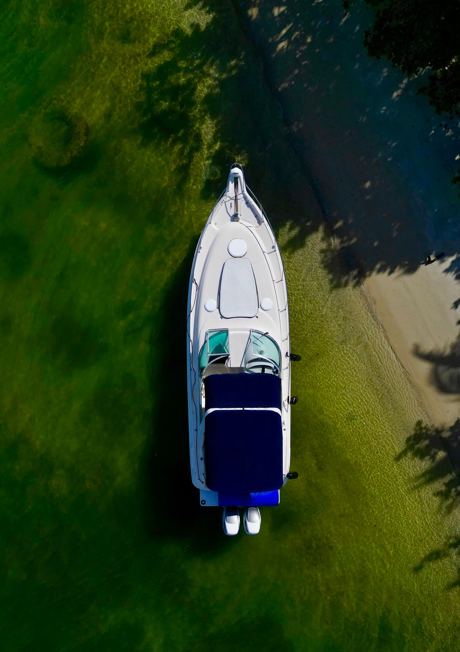 37FT MONTERRY II - View 17