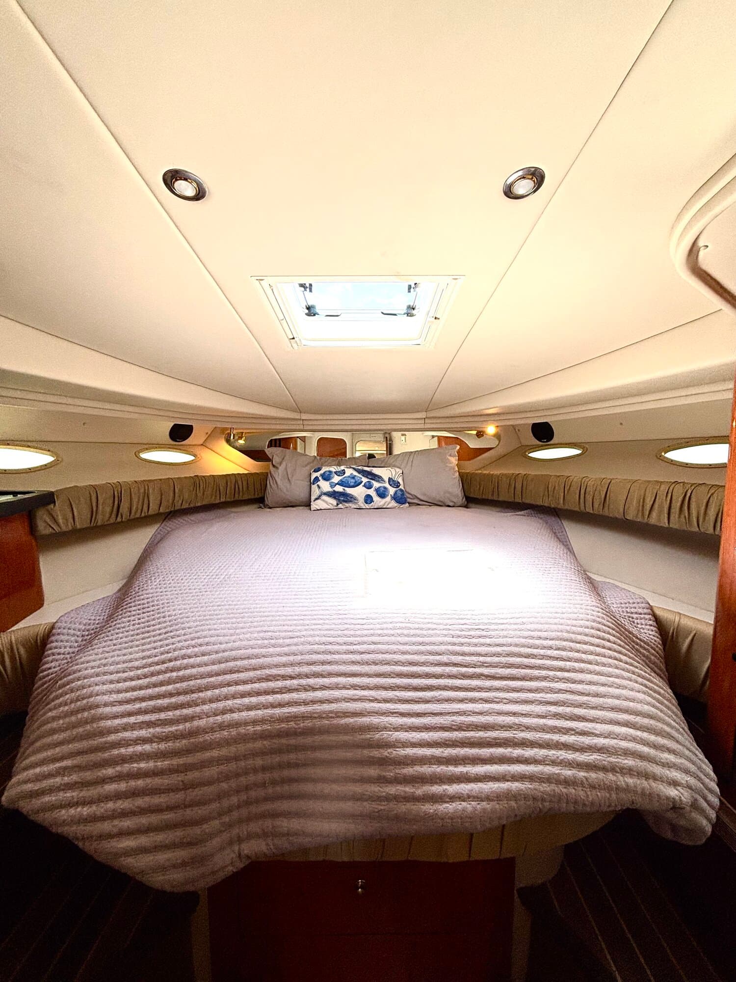 45' Sea Ray - View 9