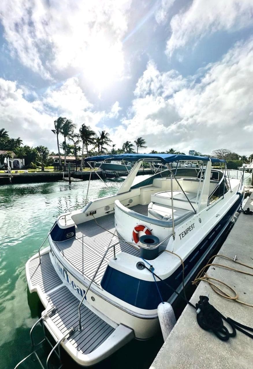 45FT TEMPEST - View 23