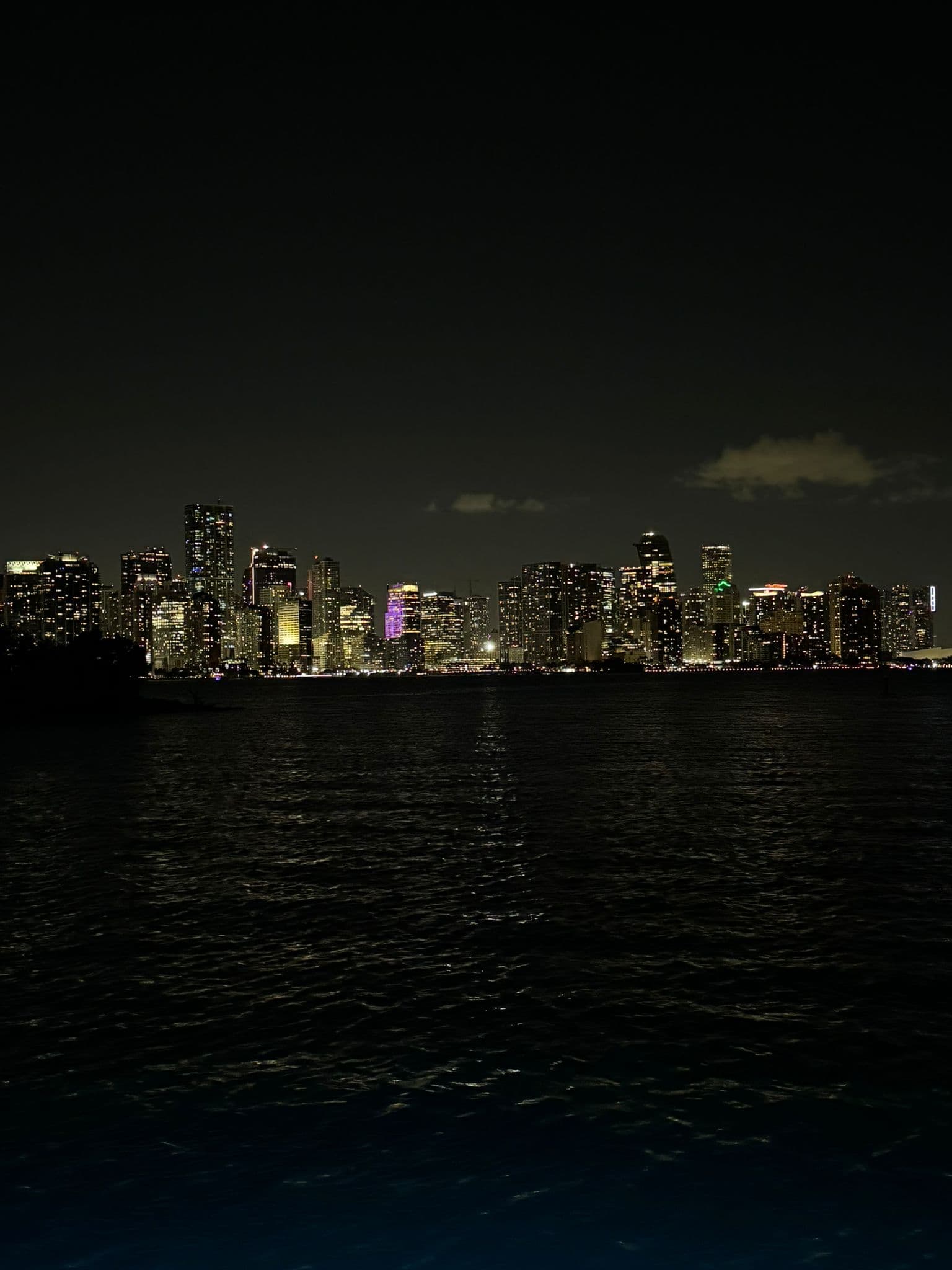 50FT MANHATTAN - View 55