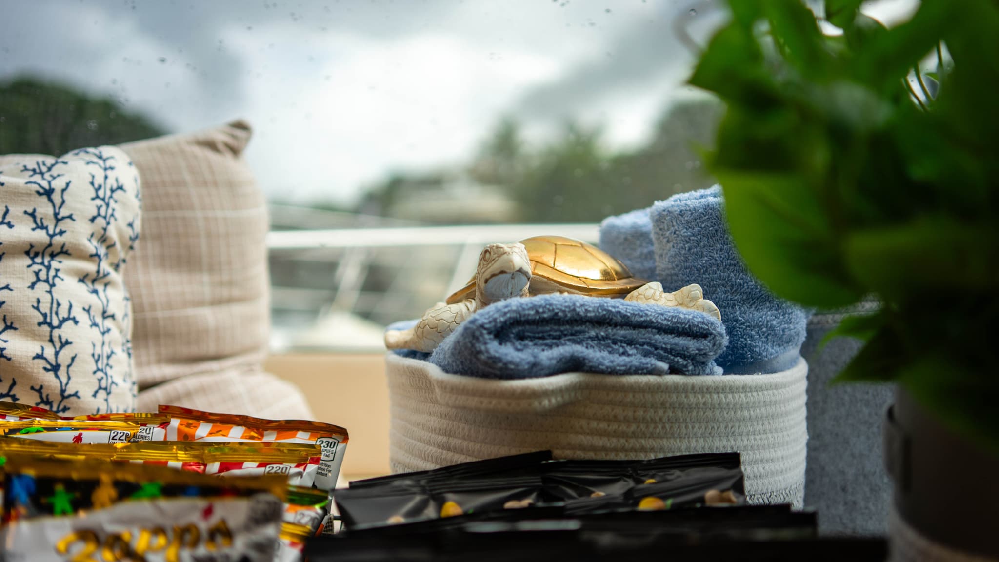 52FT SEA RAY FORT - View 25