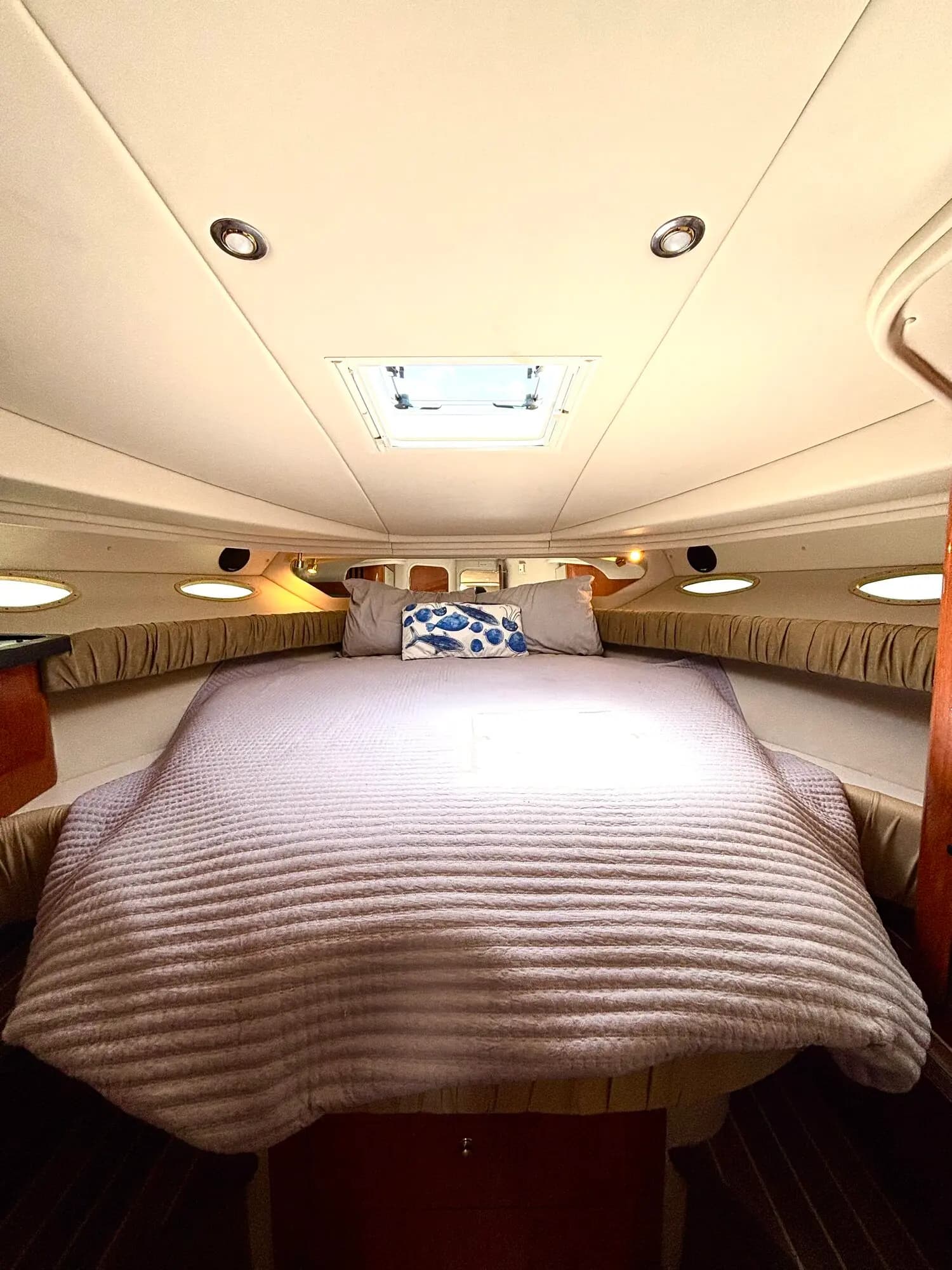 Discover 45ft Sea Ray in Miami! - View 9