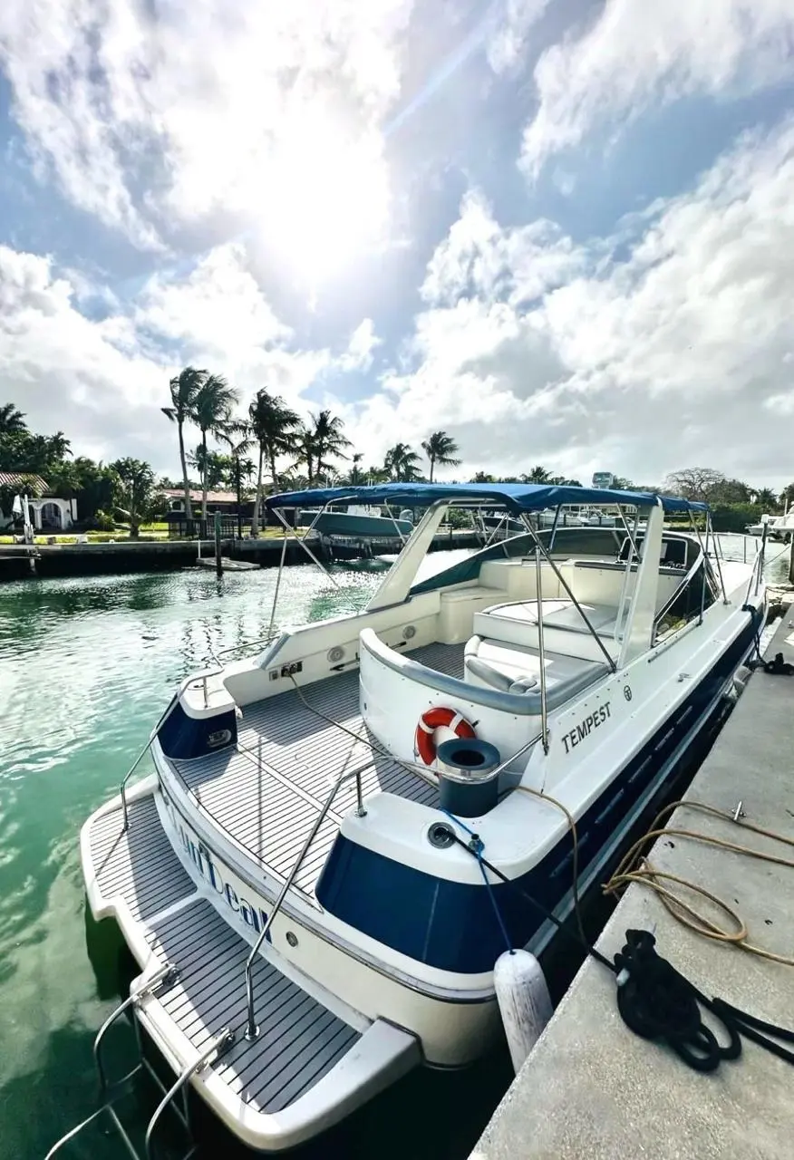 45FT TEMPEST - View 23