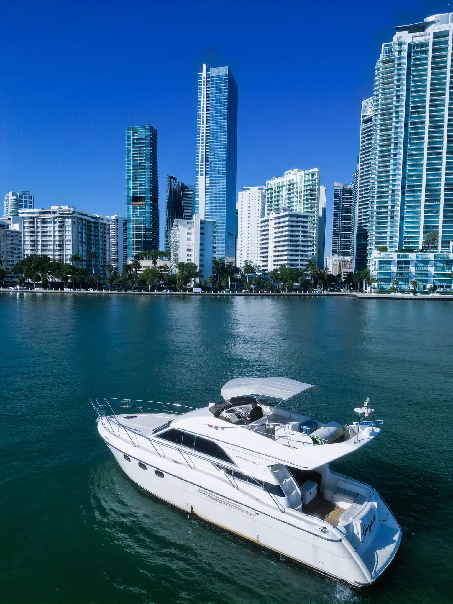 48FT PRINCESS FLYBRIDGE - View 2