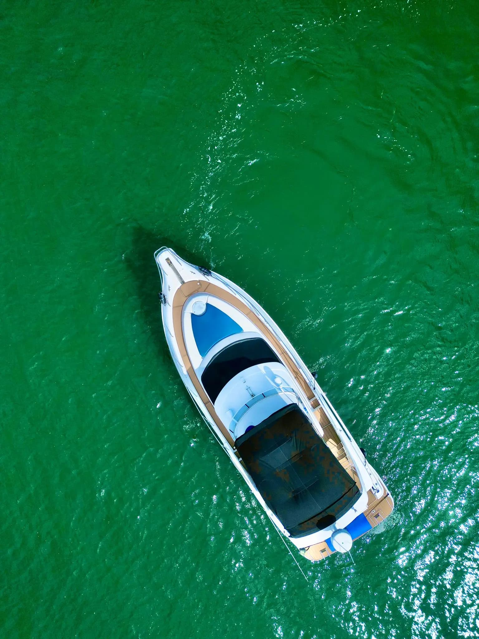 48FT SILVERTON BLUE - View 5