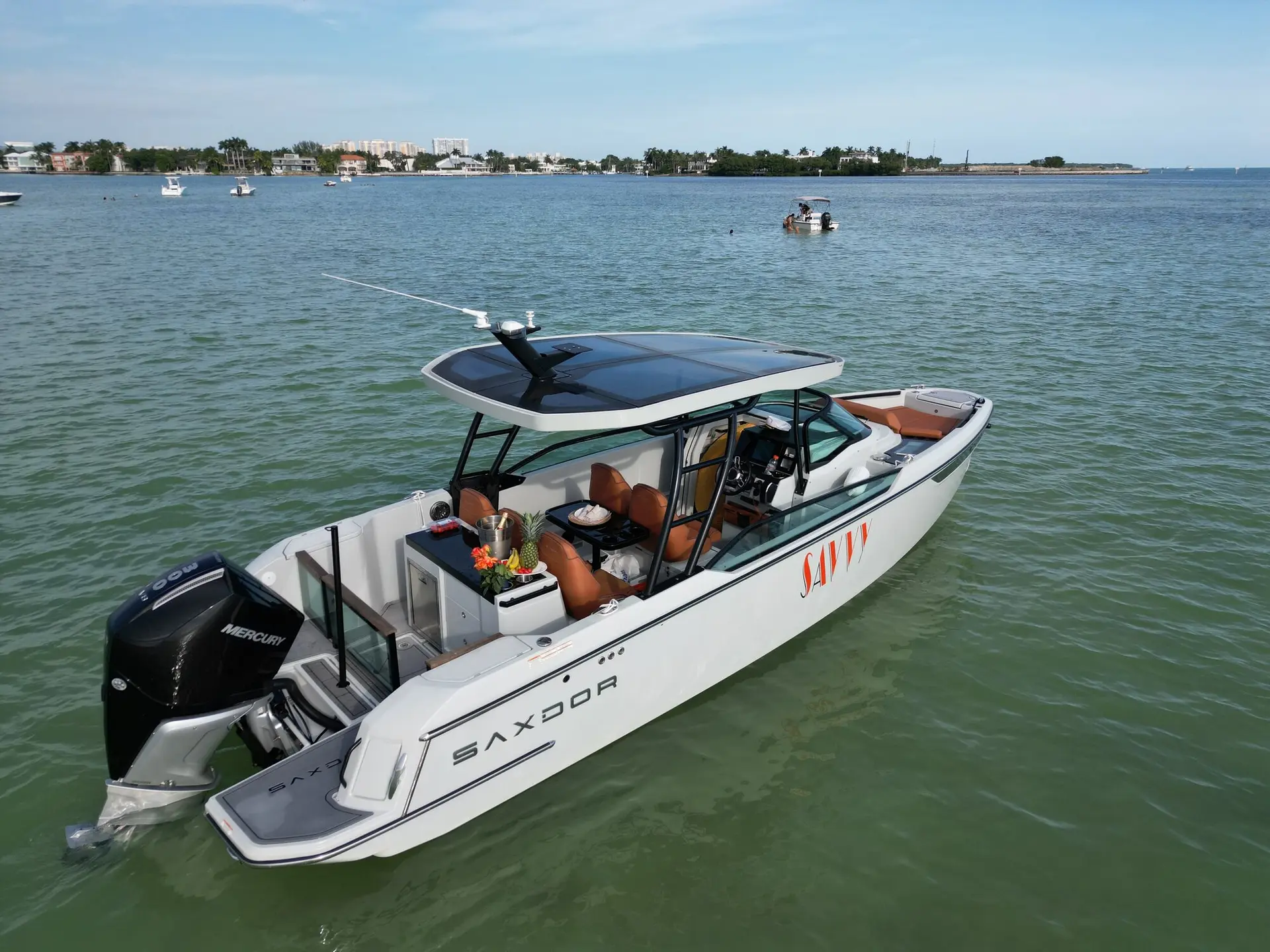 Saxdor 28ft in Miami! - View 46