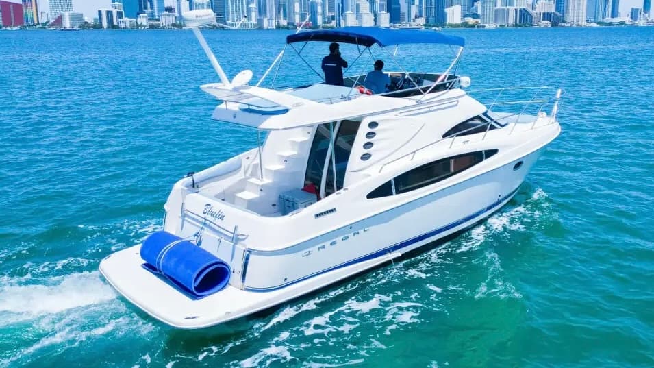42FT REGAL - View 4