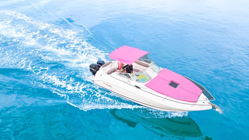 28FT PINK RINKER - View 2