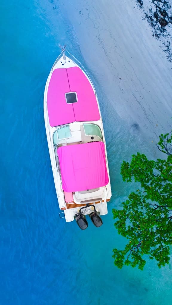 28FT PINK RINKER - View 3