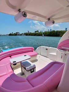 46ft Sea ray Melissa - View 8
